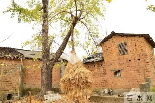 公司新来的00后秘书，第一天上班，就穿了黑丝和包臀裙