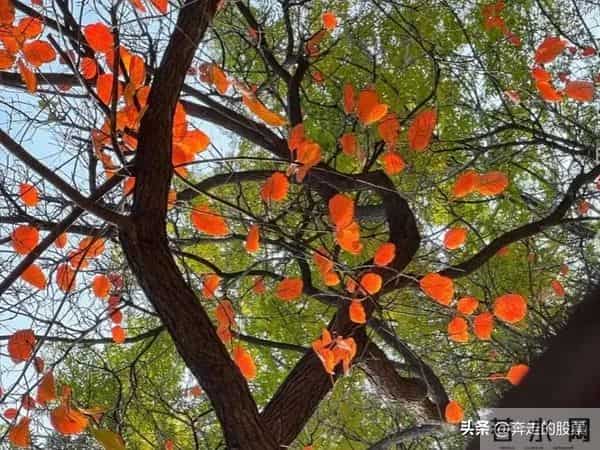 随笔：好吧，不管你经历了什么，一觉醒来，这个城市依旧车水马龙