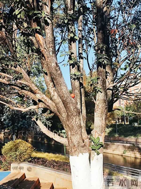 一个现代人的隐士修炼指南