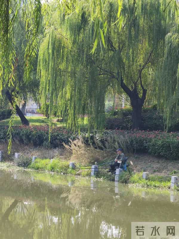 钓鱼给人的启示：锲而不舍，久久为功