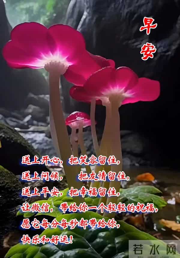 每日100句吉祥祝福语,最美的问候语大全,祝福朋友们快乐吉祥