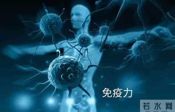 木瓜的12大惊人功效，这样吃功效会更好！可惜很多人都不知道