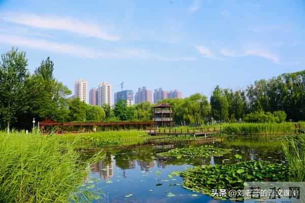 三年级满分作文《我的梦想》3篇作文300字400字