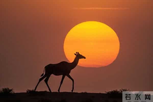 六年级上册道德与法治教学总结