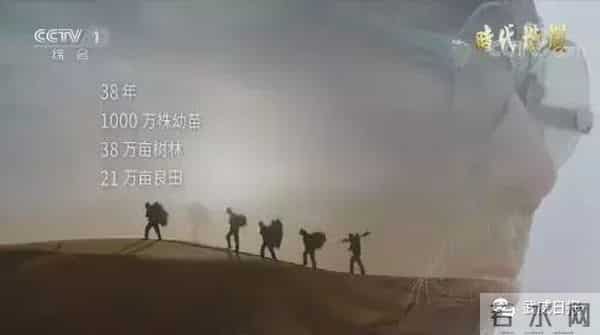 央视八步沙林场“六老汉”三代人治沙造林先进群体公益广告在武威市反响强烈