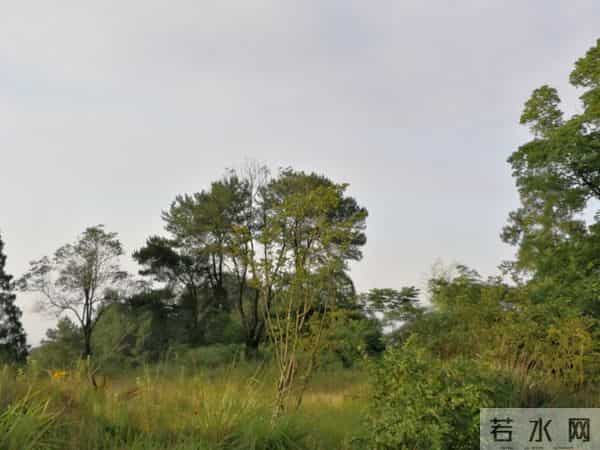 六年级上册道德与法治教学总结