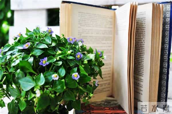 早上好！唯美舒心励志的句子，经典短句，让人受用一生