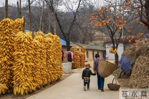 常用方言口语词“恁”,你们那里怎么读呢?