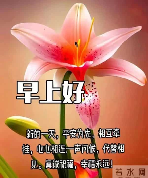 每日100句吉祥祝福语,最美的问候语大全,祝福朋友们快乐吉祥