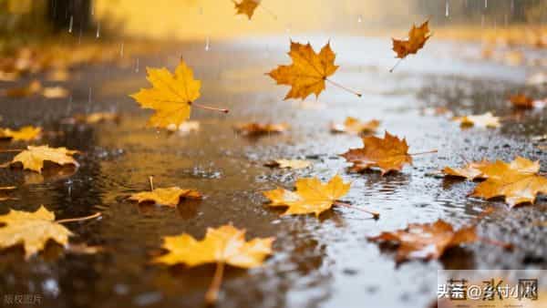 明日中秋节，老人说最怕“中秋节一日雨”，中秋节下雨有啥预兆？