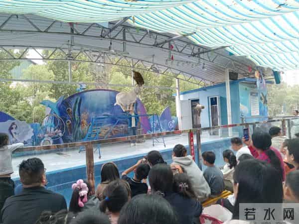 三年级日记之2025年国庆节游记和生活记录三则300字