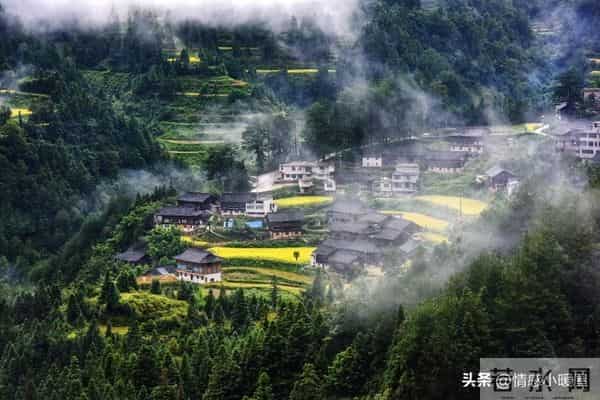 社区居家养老升级!60+老人不出门也能享专业照护