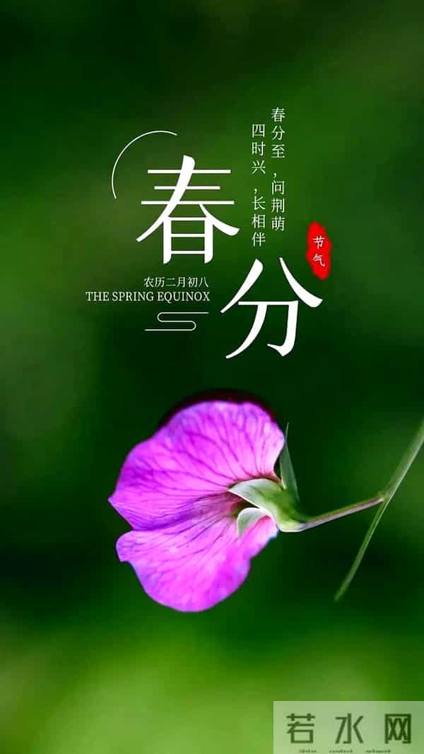 2025春分祝福语简短句子 二十四节气春分问候祝福语文案带图片