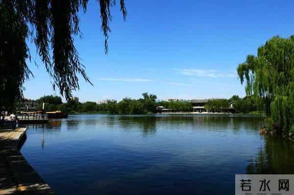 青未了｜散文《济南的春天》