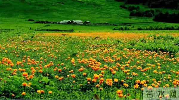 70年来,有没有一首歌,让中国人听了就热泪盈眶?