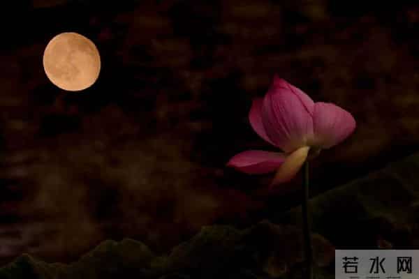 10首牵挂诗词:降温了,有一种温暖,叫想你