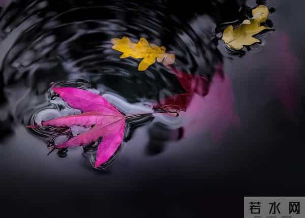 不会写行政执法类大作文？这篇国考申论范文就是你的参考答案