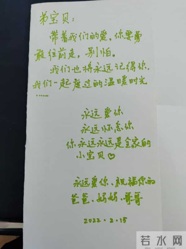 新奇职业｜一名宠物殡葬师的自述：宠物的离开，教会我们什么