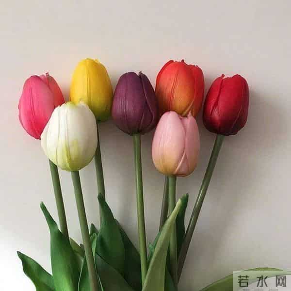 感恩母亲节的简短祝福短信，句句温馨，暖人心窝