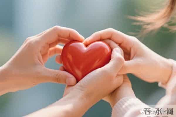 爱在心中,温暖在行动:真实感人的情感故事集锦