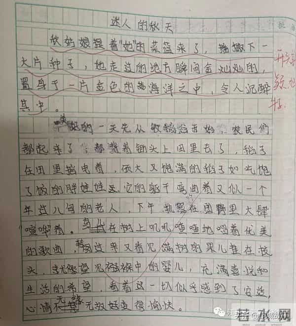 婺源县珍珠山中学学生作文展示——《迷人的秋天》