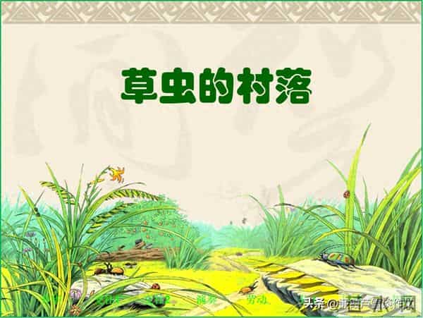 草虫的世界如此奇妙①——阿宝老师的“作文经”(三三四)