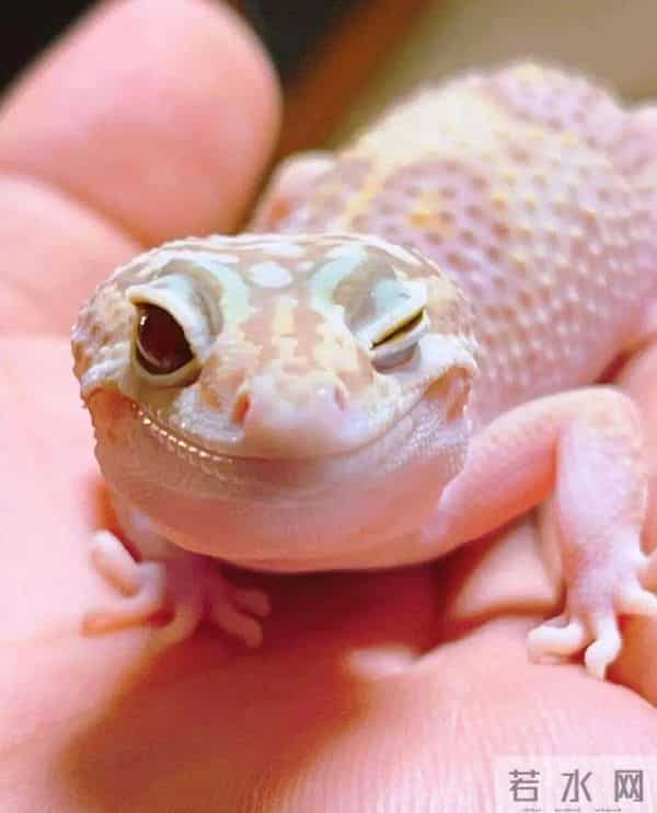 这个国庆来济宁,旅游景区宠客宝藏攻略来袭