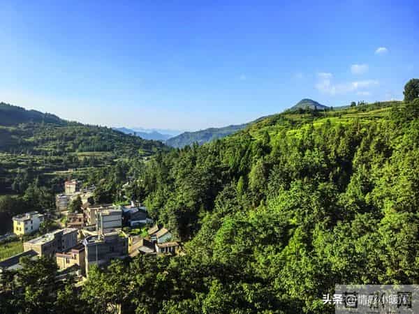 社区居家养老升级!60+老人不出门也能享专业照护