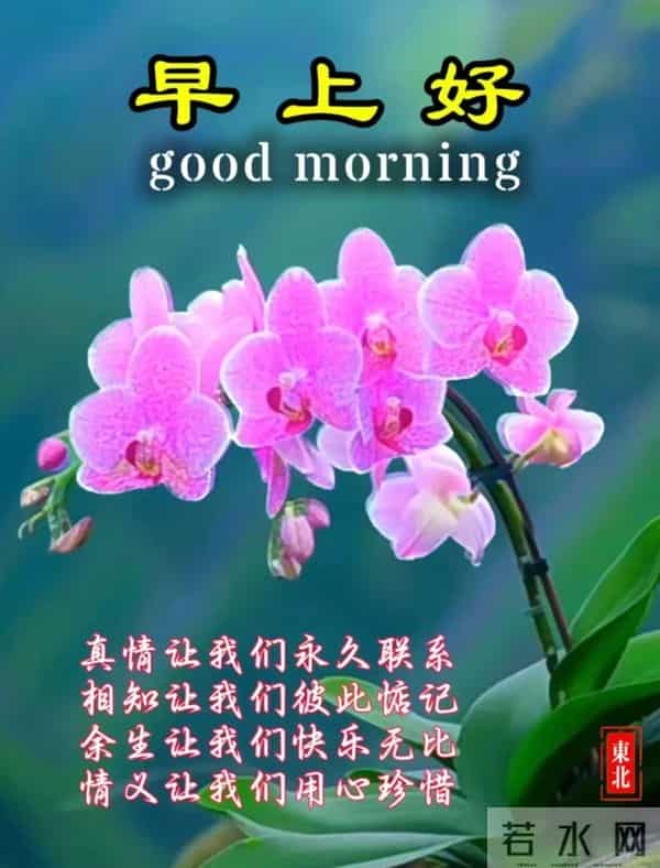 每日100句吉祥祝福语,最美的问候语大全,祝福朋友们快乐吉祥