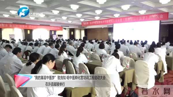 报道：“我的基层中医梦”致良知·明中医孵化营培训工程启动