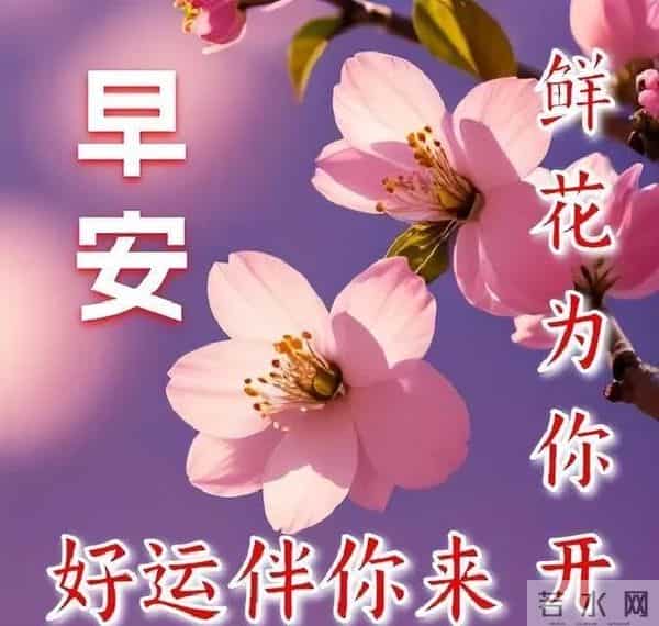 早上好温馨问候语大全,精选早安祝福短语,愿心情始终美好