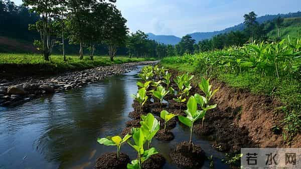 两性内卷真相:别再争谁吃亏了!