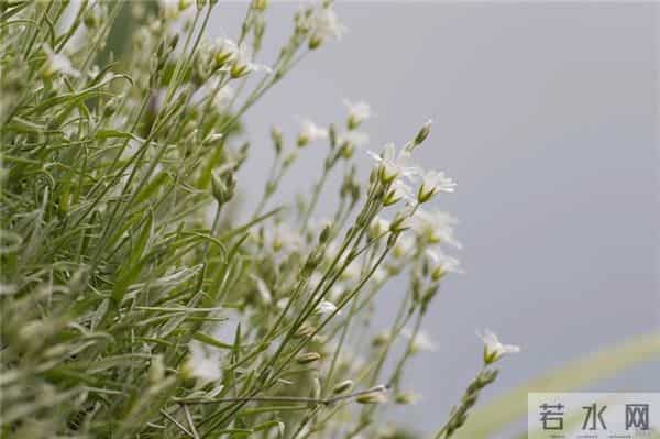 早上好！唯美舒心励志的句子，经典短句，让人受用一生