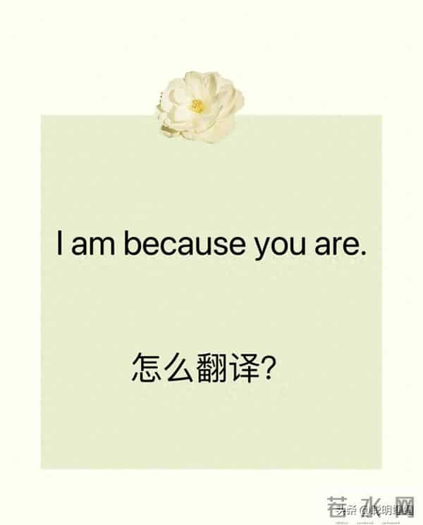 I am because you are”直译翻车?这翻译绝了!