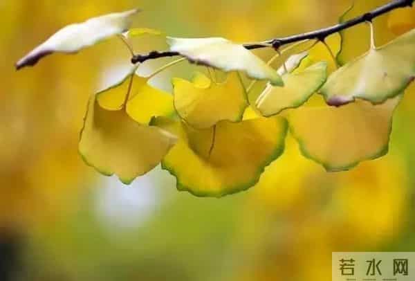 教师节｜正是这些老师教的歌撑起了我们的童年