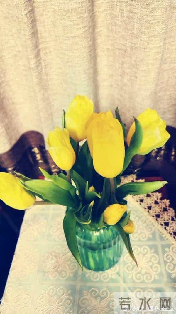 青未了-情人节又叫瓦伦丁节