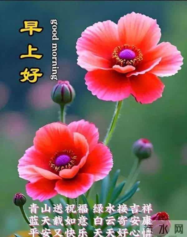 “偷偷收藏的最美祝福图片，发完100%秒赞”