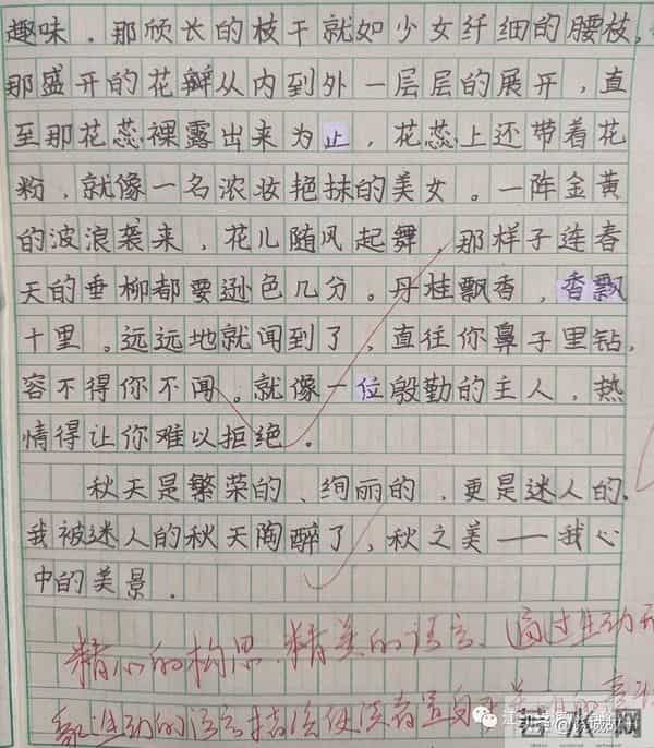 婺源县珍珠山中学学生作文展示——《迷人的秋天》