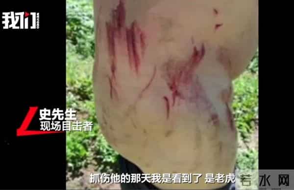 老虎出没?湖北鹤峰村民山上干农活被野兽袭击,用锄头反击后脱险,当地:暂无老虎证据