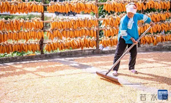 诗意中国丨农历八月