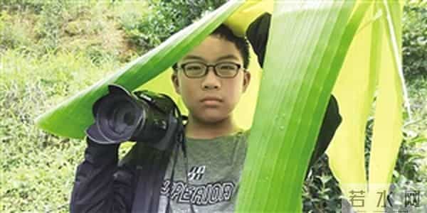 12岁少年的追鸟梦