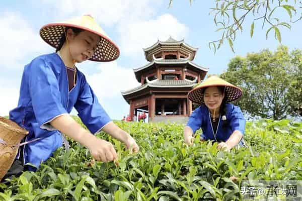 共赴侗乡盛会！三江2025年“月月过大节”活动出炉！