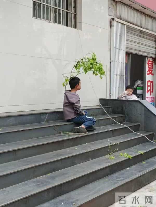 一个现代人的隐士修炼指南