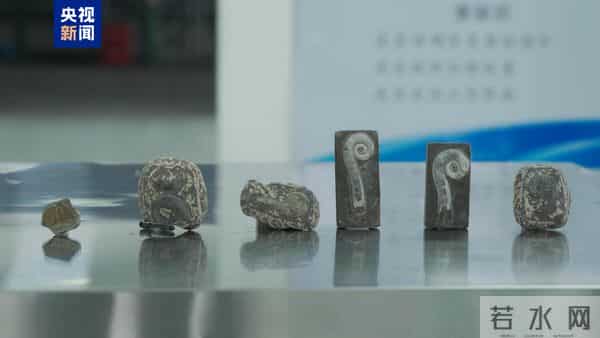 “创意摆件”出口包裹查出6块古生物化石……海关提醒→