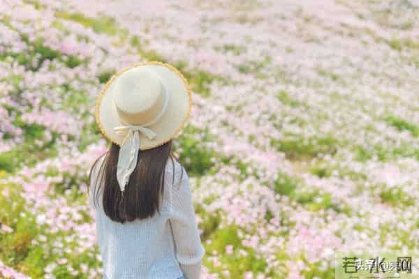 精选五首风格迥异、情感深邃的爱情巅峰之作，以飨文友