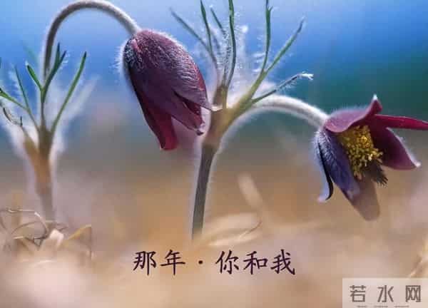 抖音说说励志的语录