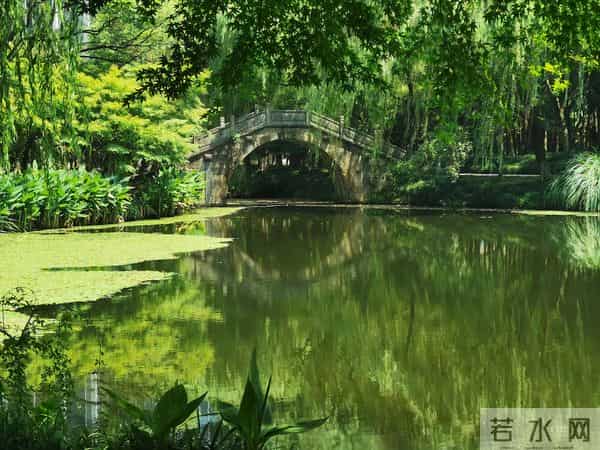 暑假余额不足，推荐带娃去杭州嘟嘟城体验最后的狂欢