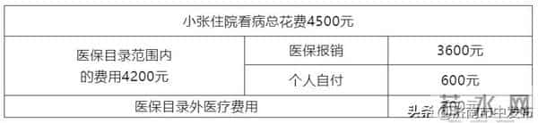 济南医保钱包开通与转账操作指南→