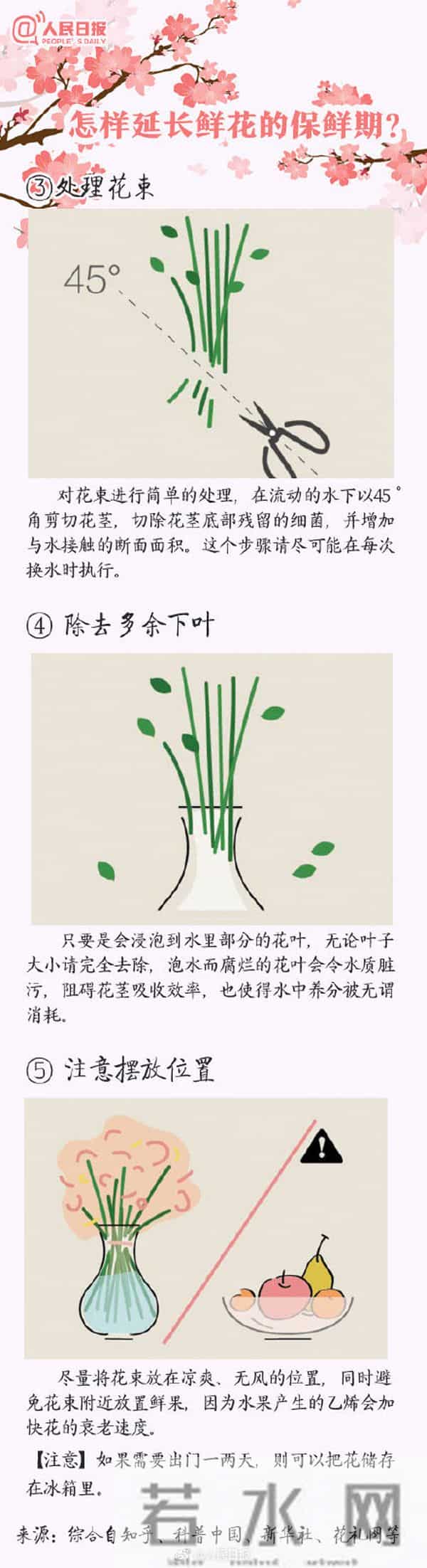 100种花的花语,收藏吧