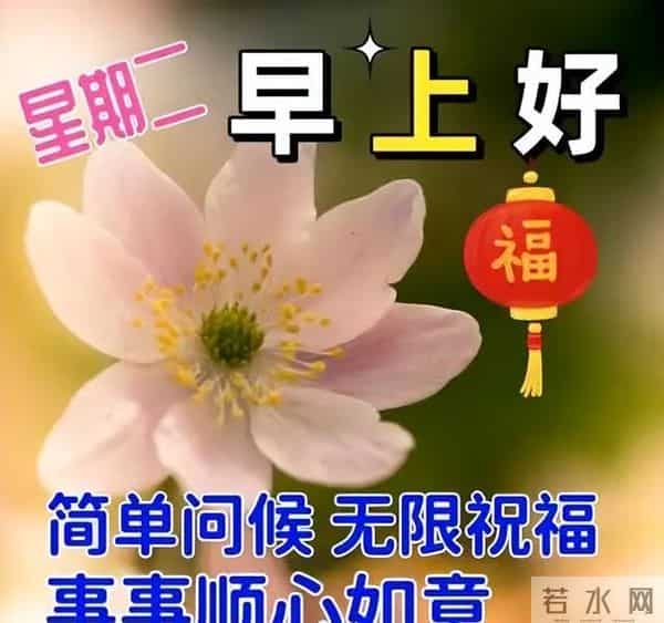 非常暖心的唯美早晨寄语，早上好祝福金句，愿喜乐平安如意